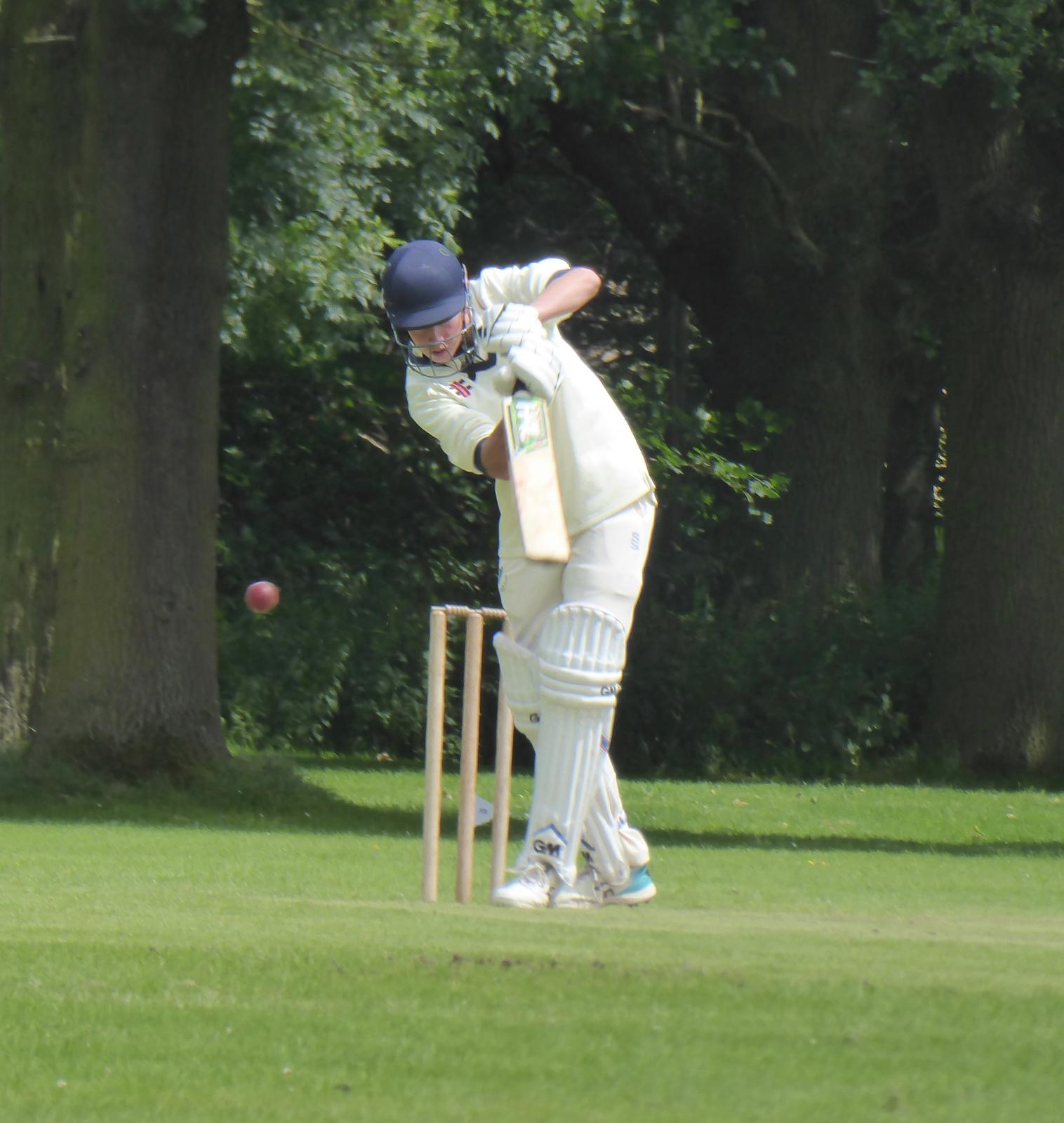 Cricket Gallery Image
