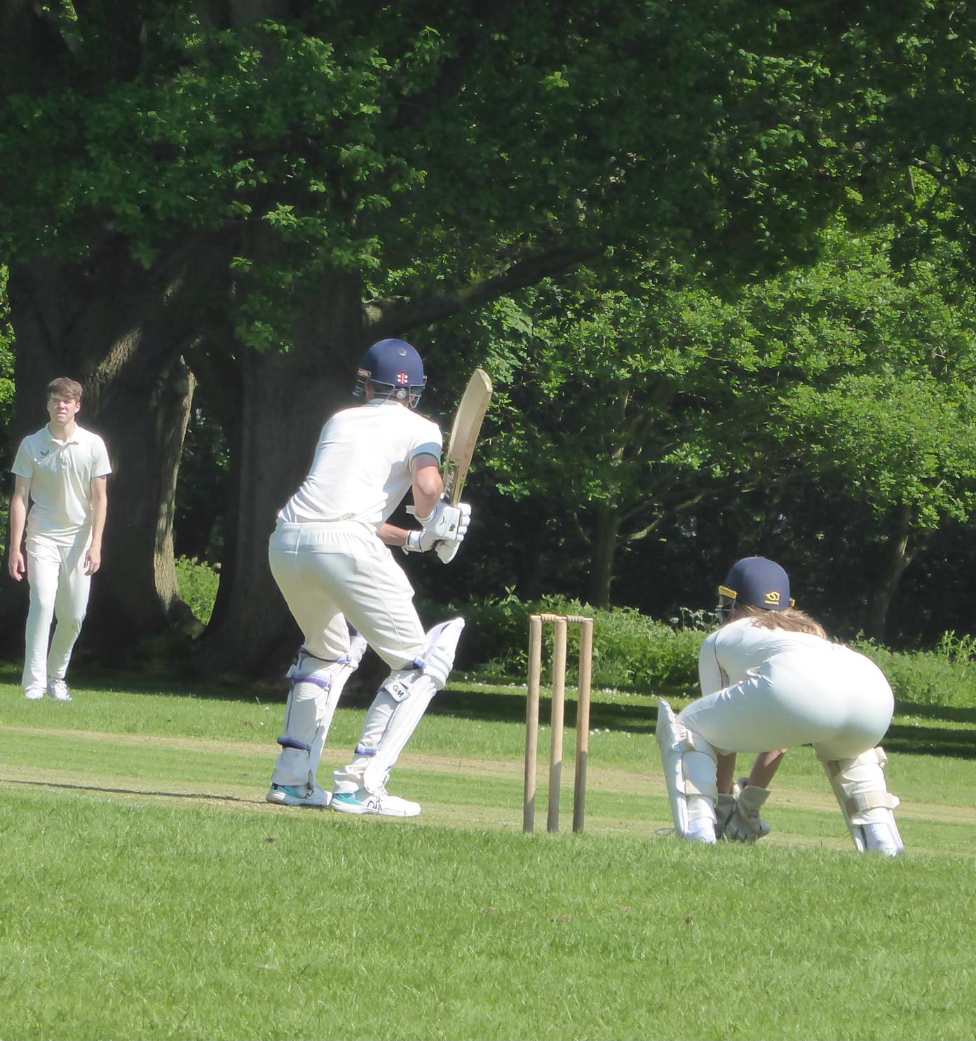 Cricket Gallery Image
